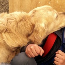 Italo: Vincenzo Lauretta con il cane Italo in una tenera scena del film