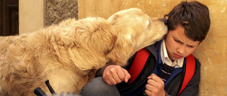 Italo: Vincenzo Lauretta con il cane Italo in una tenera scena del film