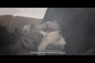 Trailer - Nobody Wants The Night