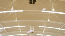 Trailer - Paper Planes