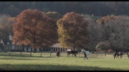 Trailer italiano - Foxcatcher