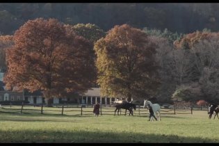 Trailer italiano - Foxcatcher