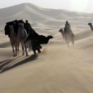 Queen of the Desert: una sequenza nel ben mezzo del deserto