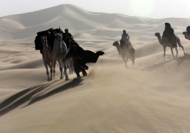 Queen of the Desert: una sequenza nel ben mezzo del deserto