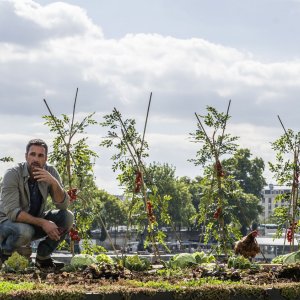 Sei mai stata sulla luna?: Raoul Bova in una scena del film riflette e guarda il suo orto