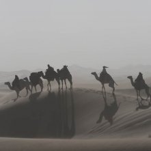 Queen Of The Desert 201510428 1