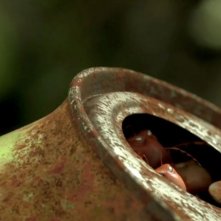 MINUSCULE - La valle delle formiche perdute: formiche rosse agguerritissime in una scena del film animato