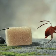 MINUSCULE - La valle delle formiche perdute: formiche rosse in agguato in una scena del film