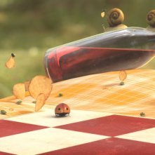 MINUSCULE - La valle delle formiche perdute: resti di un pic nic sparsi nel prato in una scena del film animato