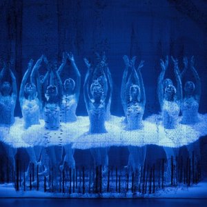 Il Balletto del Bolshoi di Mosca - Il lago dei cigni: una scena