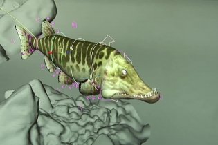 Backstage - Minuscule - La valle delle formiche perdute