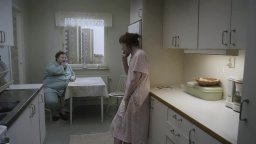 Trailer italiano - Un piccione seduto su un ramo riflette sull'esistenza