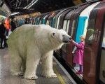 Da Fortitude a Londra: un orso bianco in giro per la City