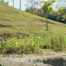 Neri Marcorè in una scena di 'Leoni'