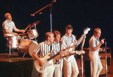 I Beach Boys in concerto: Brian, Dennis, Carl Wilson e il cugino Mike Love