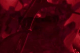 Teaser - Scream Queens