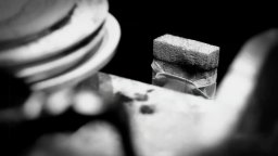 Featurette 'Un giorno nella vita di una spugna reale' - SpongeBob - Fuori dall'acqua