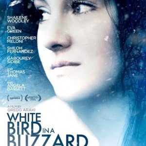 Locandina di White Bird in a Blizzard