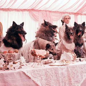 Una scena de In compagnia dei lupi