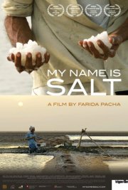 Locandina di My Name Is Salt