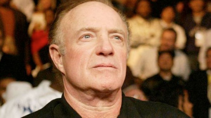 James Caan e Kevin Connolly nel pilot Fox "Fantasy Life"