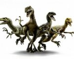 Jurassic World: ecco la squadra dei Velociraptor!