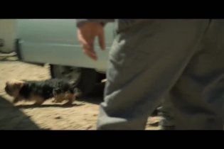 Trailer italiano - White God - Sinfonia per Hagen