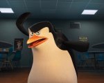 I pinguini di Madagascar in blu-ray: uno spettacolo sia in 3D che in 2D