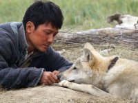 L'ultimo lupo: al cinema la fiaba ecologica di Jean-Jacques Annaud