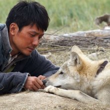 L'ultimo lupo: il protagonista del film Feng Shao-feng in una tenera scena del film