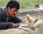WWF: 'L'ultimo lupo può salvare i lupi italiani'