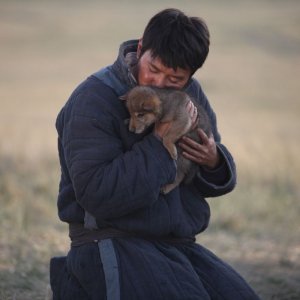 L'ultimo lupo: Feng Shao-feng col suo fedele amico lupo in una scena del film di Jean-Jaques Annaud