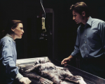 Ufficiale: X-Files torna su Fox con sei nuovi episodi!