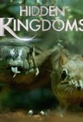 Locandina di Hidden Kingdoms - Micromondi