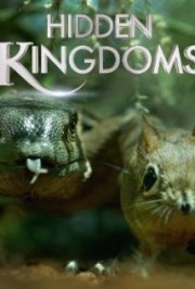 Locandina di Hidden Kingdoms - Micromondi