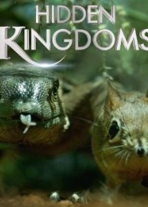 Locandina di Hidden Kingdoms - Micromondi