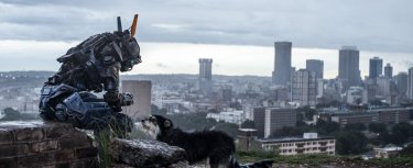 Humandroid: Chappie con un amico a 4 zampe in una scena del film