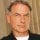 Mark Harmon