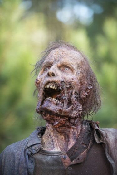 The Walking Dead: un walker nel finale della stagione 5