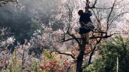 Trailer - Emptying the Skies