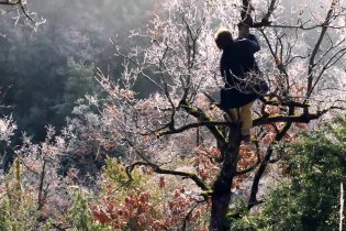 Trailer - Emptying the Skies