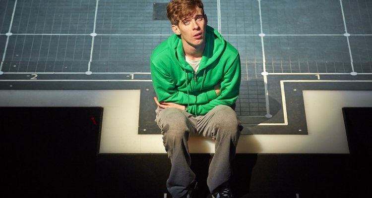 Lo Strano Caso Del Cane Ucciso A Mezzanotte Film