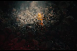 Trailer - Ant-Man