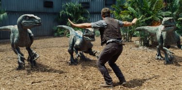Jurassic World: Chris Pratt tiene a bada i dinosauri in una scena del film