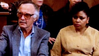 Processo all'incredibile Hulk: il primo cameo di Stan Lee!