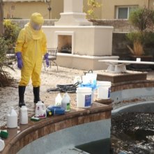 The Last Man On Earth She Drives Me Crazy Mooovin In Episode 7 8 07