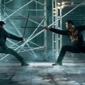 Kunbg Fu Jungle: una scena del film action