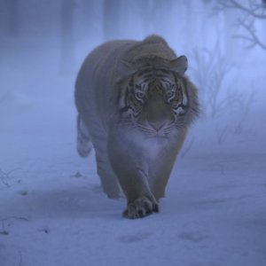 The Taking of Tiger Mountain: una scena del film