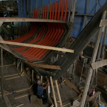 Un'immagine del documentario Alberi che camminano