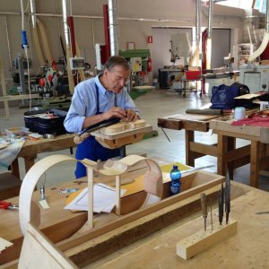 Alberi che camminano: un'immagine tratta dal documentario di Mattia Colombo